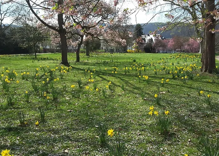 Wilfried アパート